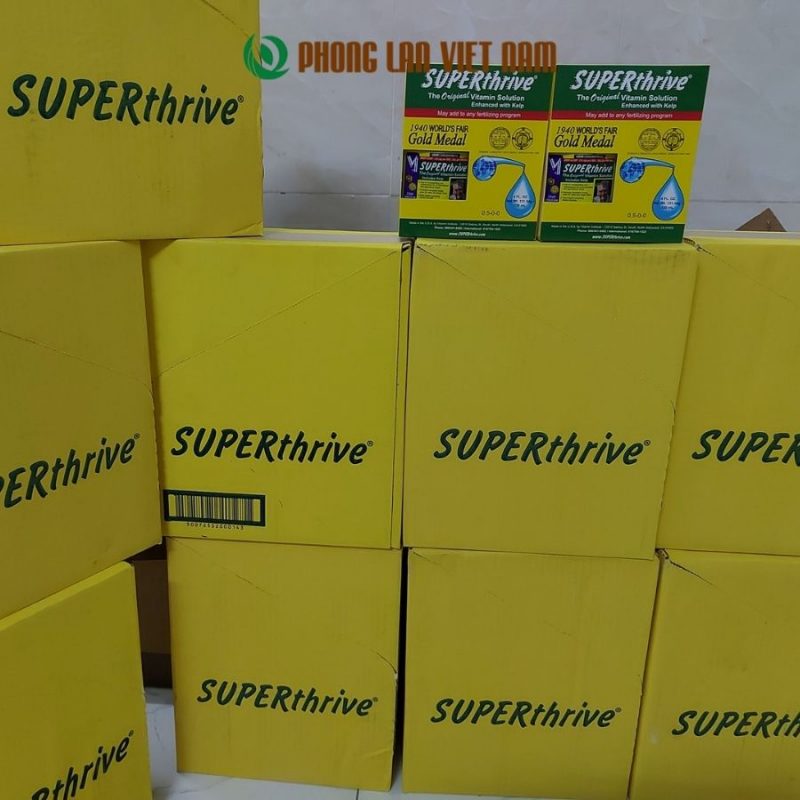 Phong lan Việt Nam địa chỉ bán thuốc kích thích sinh trưởng Super Thrive uy tín chất lượng