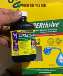 Super Thrive 120ml thần dược cho lan giúp phục hồi nhanh kích thích ra rễ