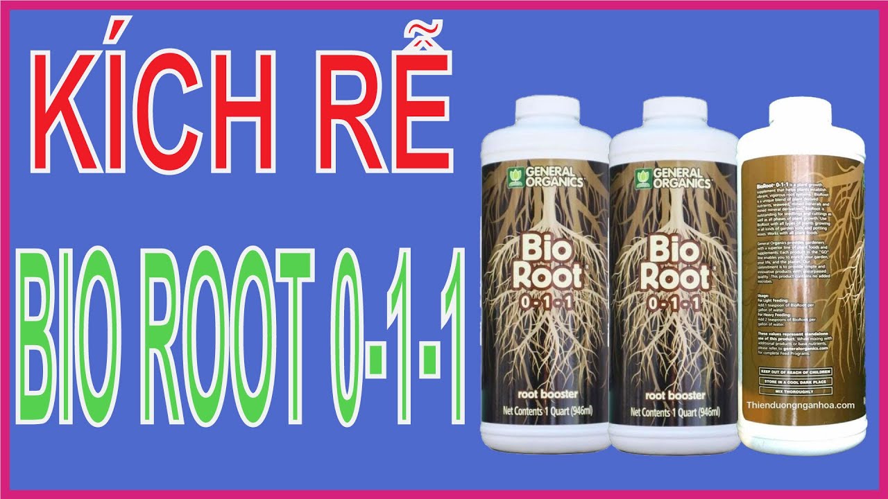 Bio Root 0-1-1 là sản phẩm vua kích rễ đang được yêu thích nhất hiện nay cho các loại Lan. Sản phẩm giúp kích thích việc phát triển rễ, tăng cường khả năng hấp thụ dinh dưỡng, đồng thời cải thiện sức khỏe và sức đề kháng của cây. Với thành phần hữu cơ và an toàn cho môi trường, Bio Root 0-1-1 là sự lựa chọn tốt nhất cho sự phát triển của cây Lan.