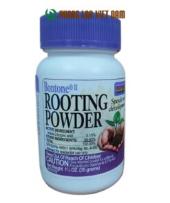 Rooting Powder cho lan sát khuẩn vết cắt an toàn hiệu quả