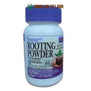 Rooting Powder cho lan sát khuẩn vết cắt an toàn hiệu quả