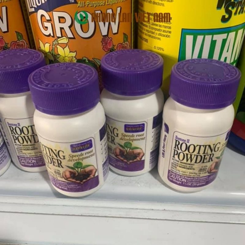 Rooting Powder hũ 35g chất lượng đảm bảo nhập khẩu từ mỹ