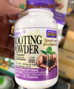 Rooting Powder sát khuẩn vết cắt, chống thối nhũn cho phong lan