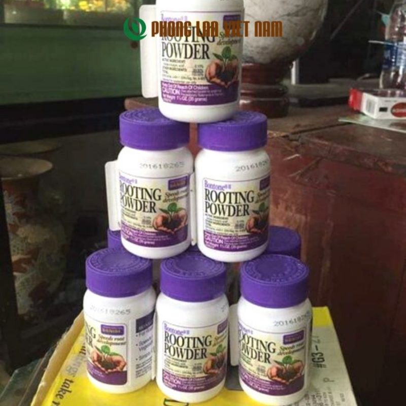 Rooting Powder sát khuẩn kích rễ nảy mầm phong lan hiệu quả