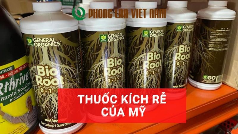 Thuốc kích rễ của mỹ nhập khẩu chính hãng hiệu quả vượt trội