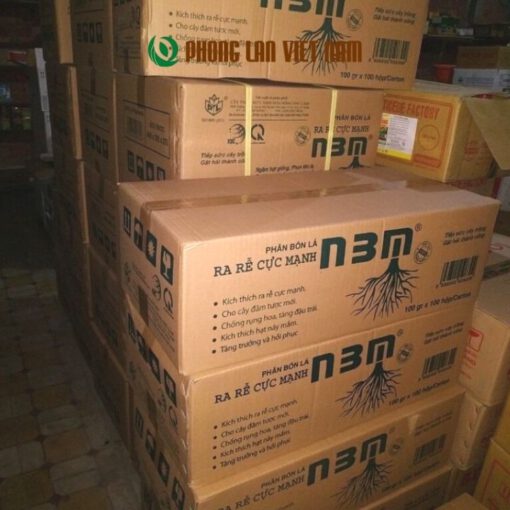 Phong lan Việt nam địa chỉ mua thuốc kích rễ phong lan uy tín chất lượng