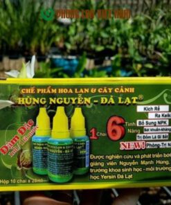 Phong lan Việt Nam địa chỉ mua chế phẩm hùng nguyễn chính hãng