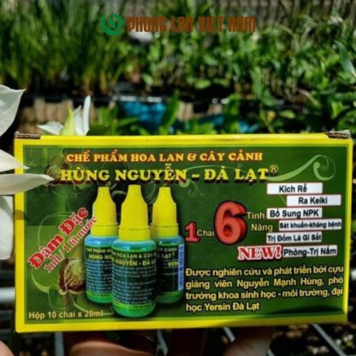 Phong lan Việt Nam địa chỉ mua chế phẩm hùng nguyễn chính hãng