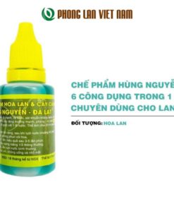 Phong Lan Việt Nam địa chỉ mua chế phẩm hùng nguyễn uy tín chất lượng