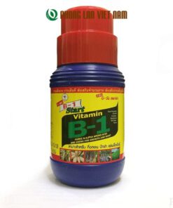 B1 Thái cho lan lọ 500ml tiết kiệm hiệu quả