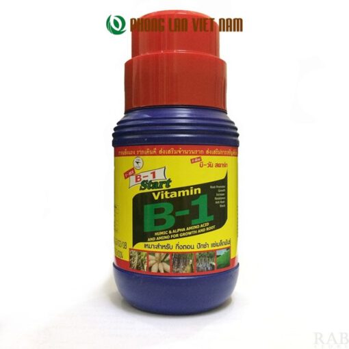 B1 Thái cho lan lọ 500ml tiết kiệm hiệu quả