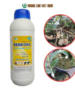 Benkona 1 lít trị nấm bệnh cho phong lan và cây trồng