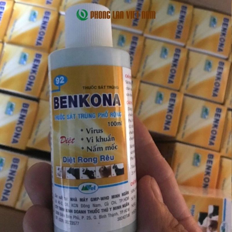 Benkona thuốc sát khuẩn trị nấm hiệu quả cho phong lan